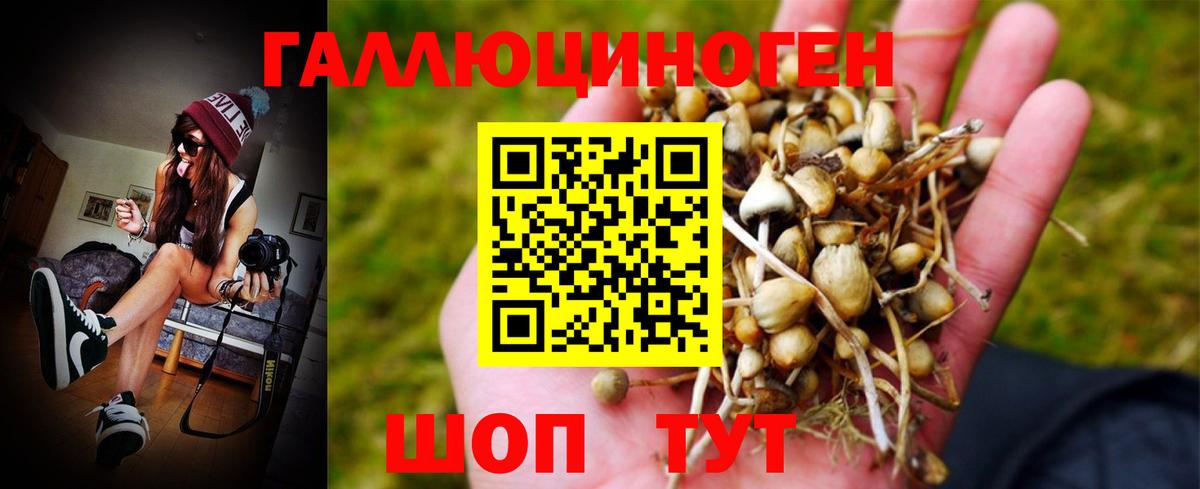 Галлюциногенные грибы MAGIC MUSHROOMS Новодвинск